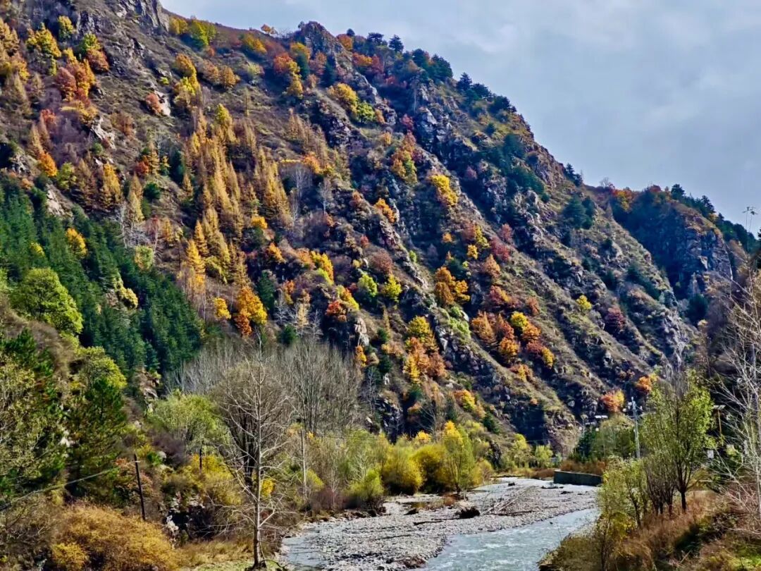 五台山的秋天，太治愈了！