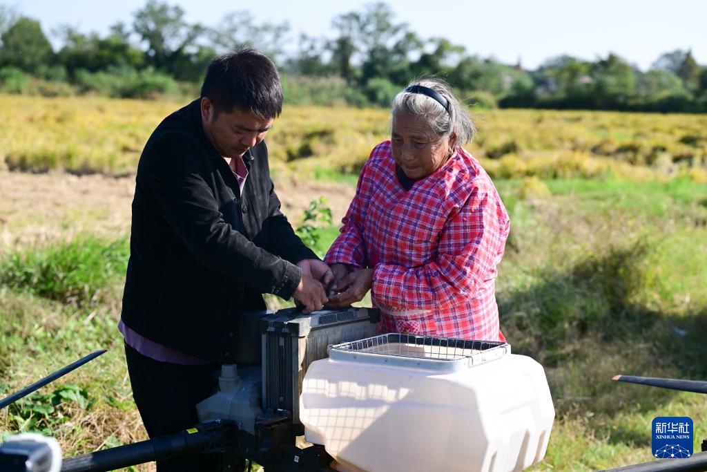 新职业故事丨飞无人机 直播带货 82岁奶奶成了“新农人” 新职业故事丨飞无人机 直播带货 82岁奶奶成了“新农人”