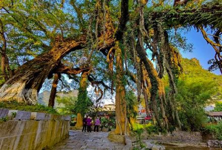 赴一场秋日里的温情之约 赴一场秋日里的温情之约