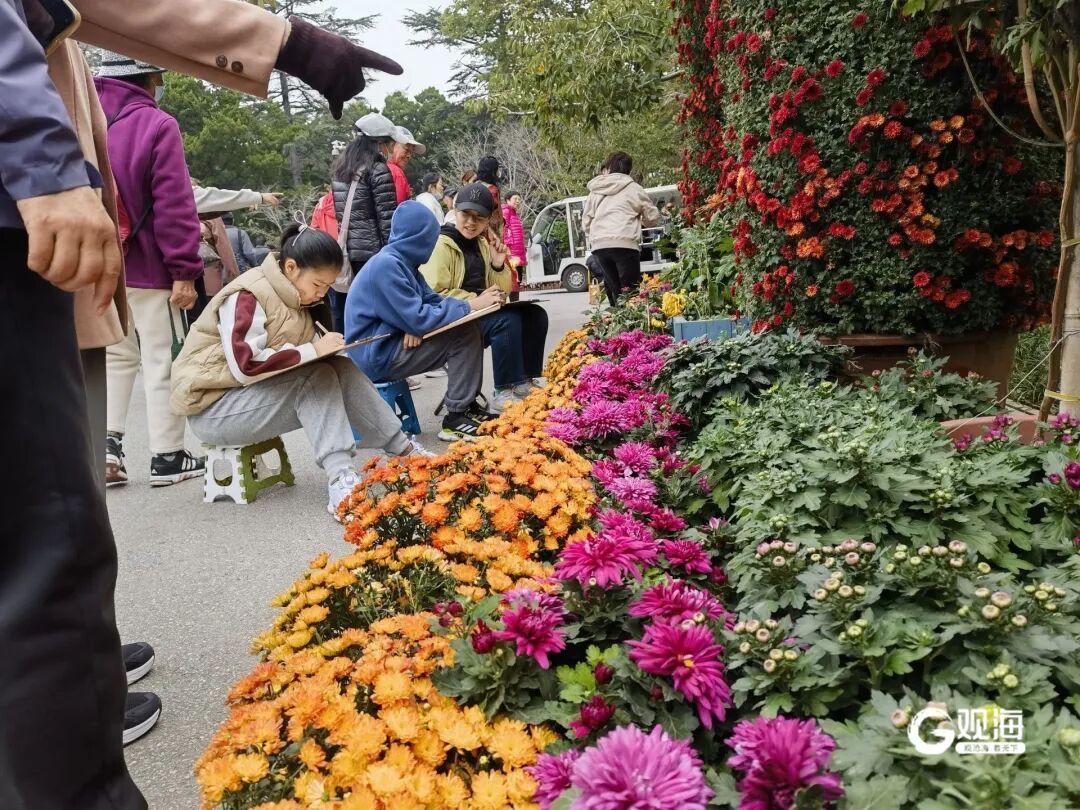中山公园这一幕火了！“人海花浪”直接刷爆朋友圈！不少老青岛人都坐不住了……