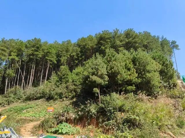 贵州凯里山上的一座动物园走红：一天卖以往四个月的票，70岁守园人用退休金补贴动物