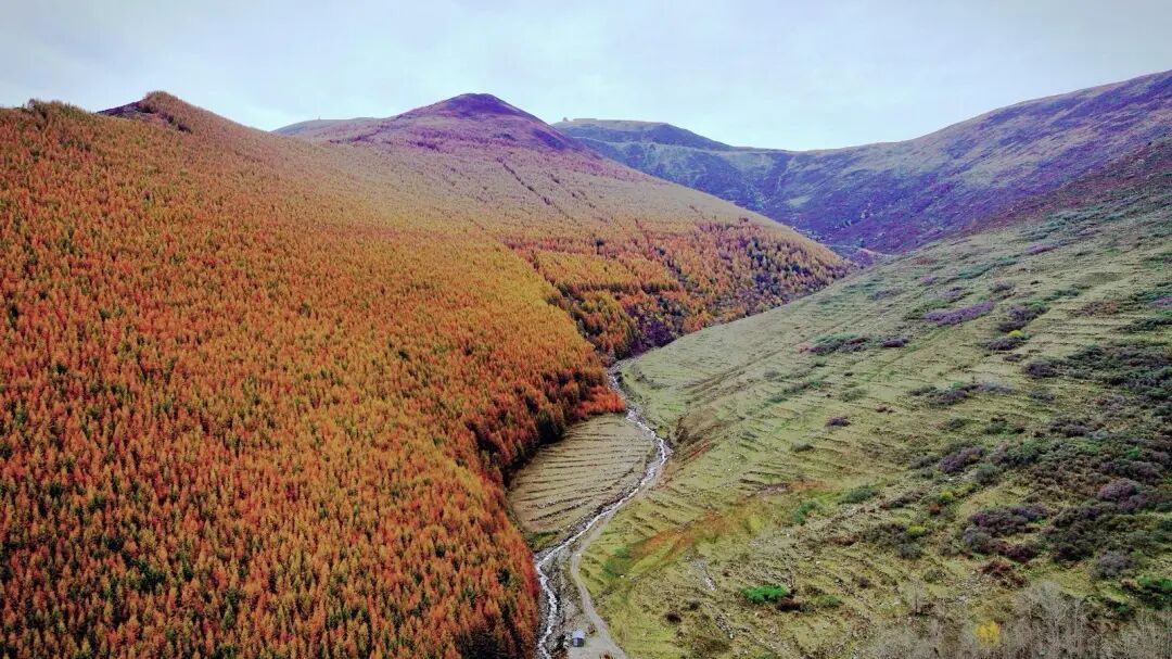 五台山的秋天，太治愈了！