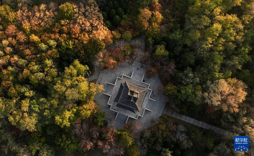 美丽中国丨塞上湖城秋意浓 美丽中国丨塞上湖城秋意浓