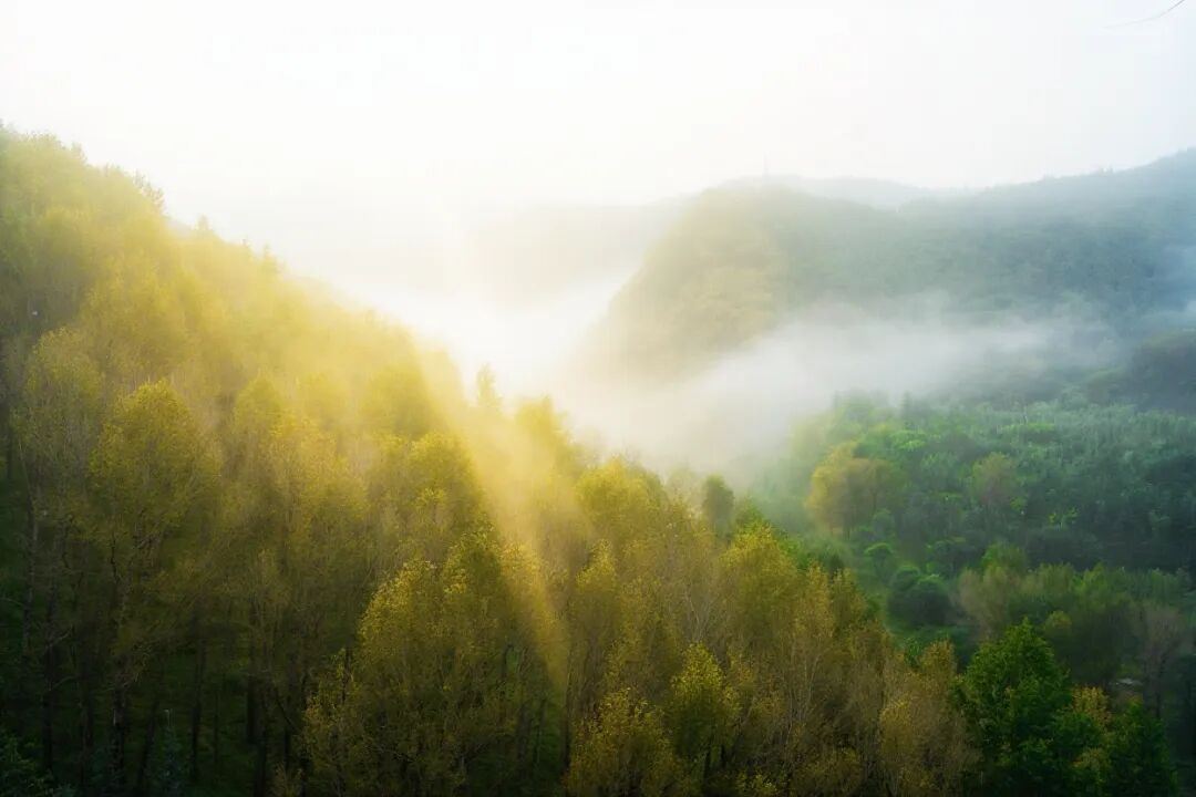 五台山的秋天，太治愈了！