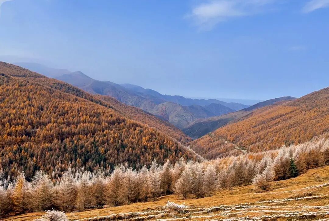 五台山的秋天，太治愈了！