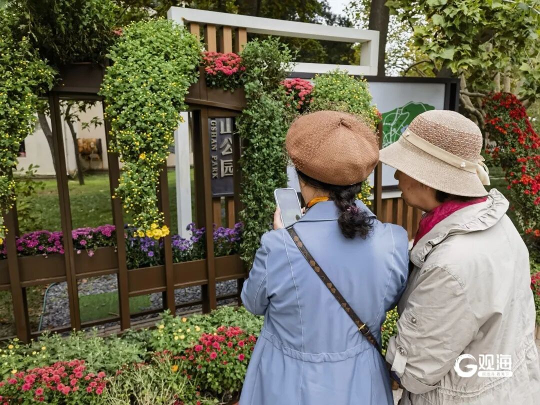 中山公园这一幕火了！“人海花浪”直接刷爆朋友圈！不少老青岛人都坐不住了……