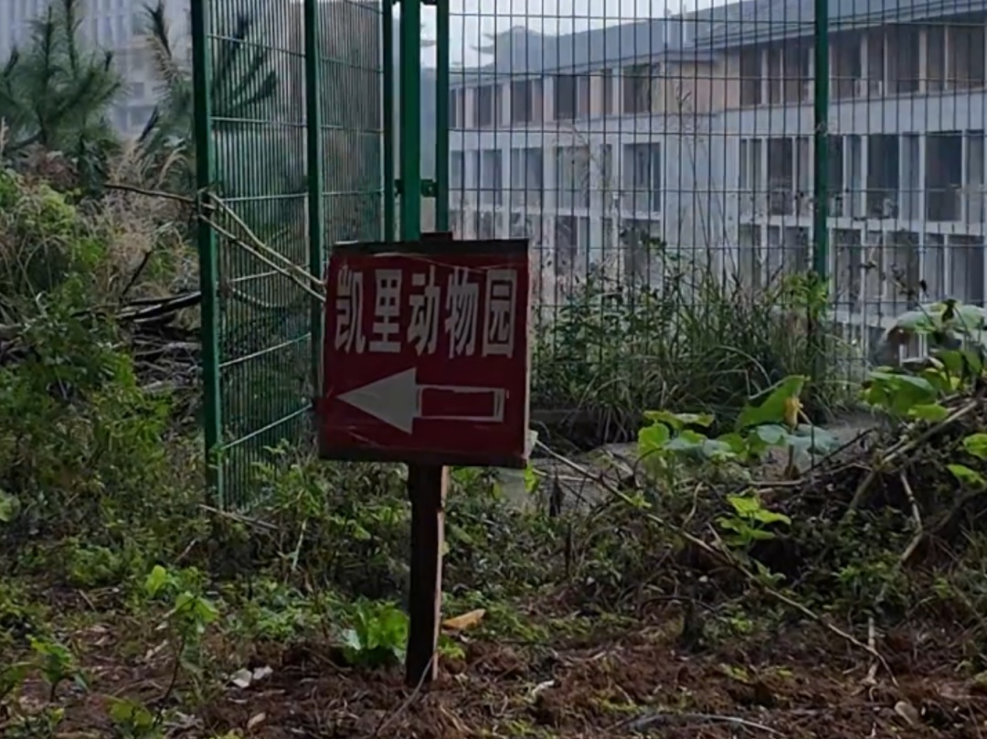 票价20元！最“寒酸”动物园火了！仅有一位七旬安徽宿州老人管理