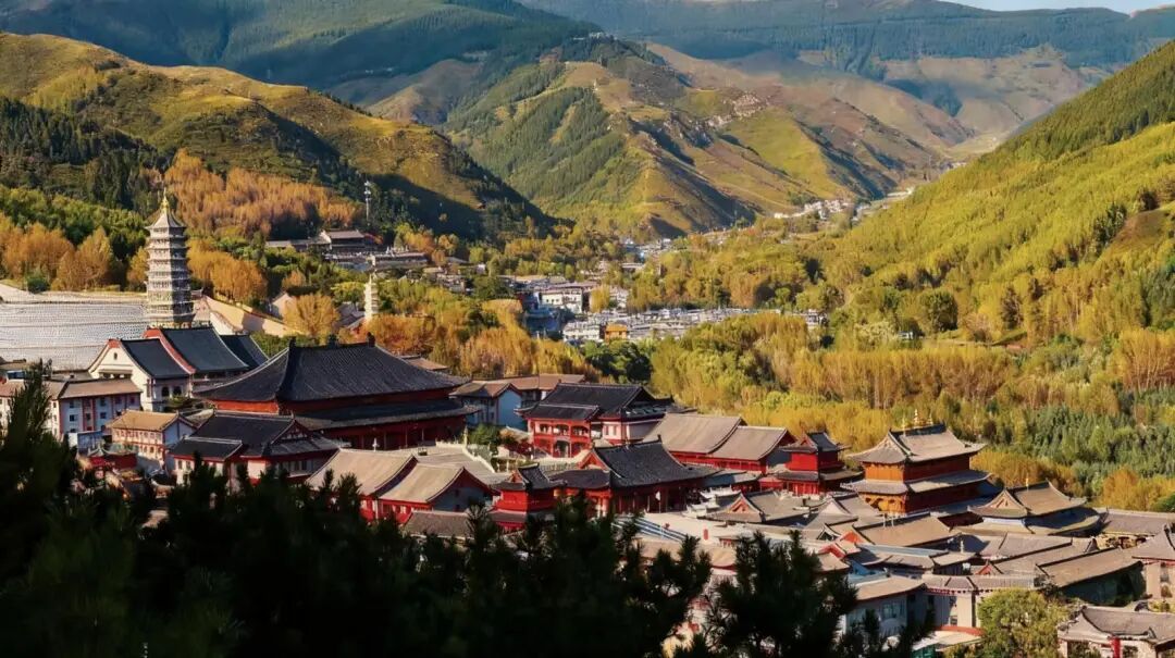 五台山的秋天，太治愈了！
