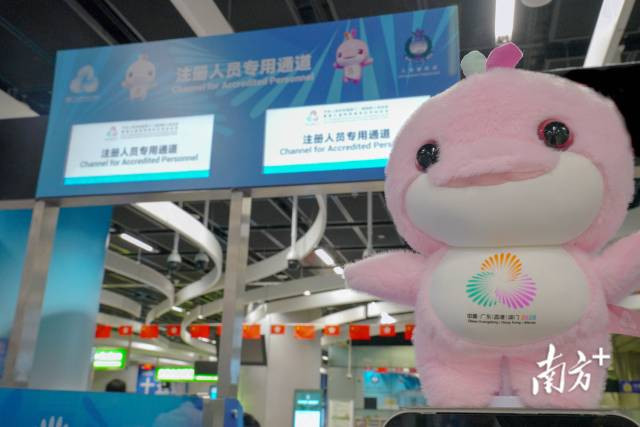 香港入境处：设16条全运会专属通道，运动员全程“刷脸”7秒通关