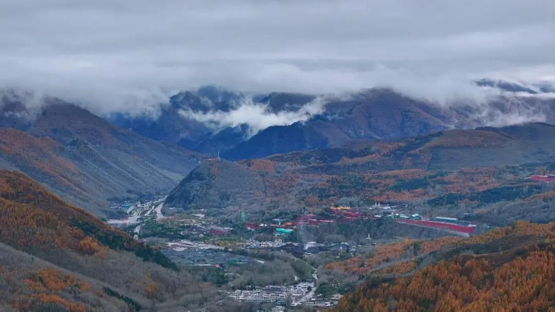 五台山的秋天，太治愈了！