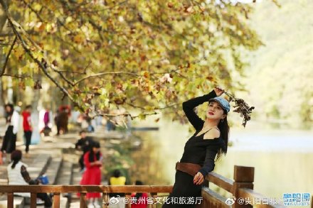 快看，贵阳黄金大道披金甲啦