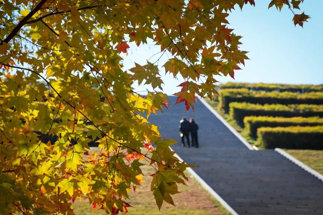 重阳节，净月潭免票！