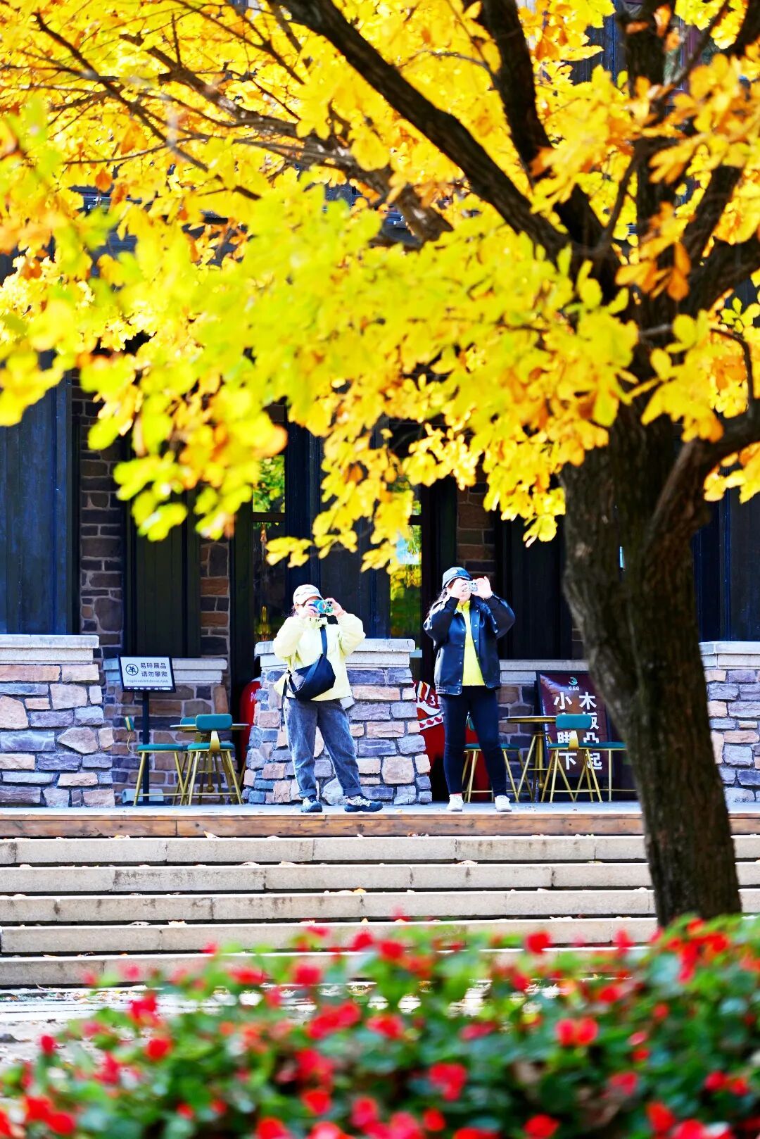 重阳节，净月潭免票！