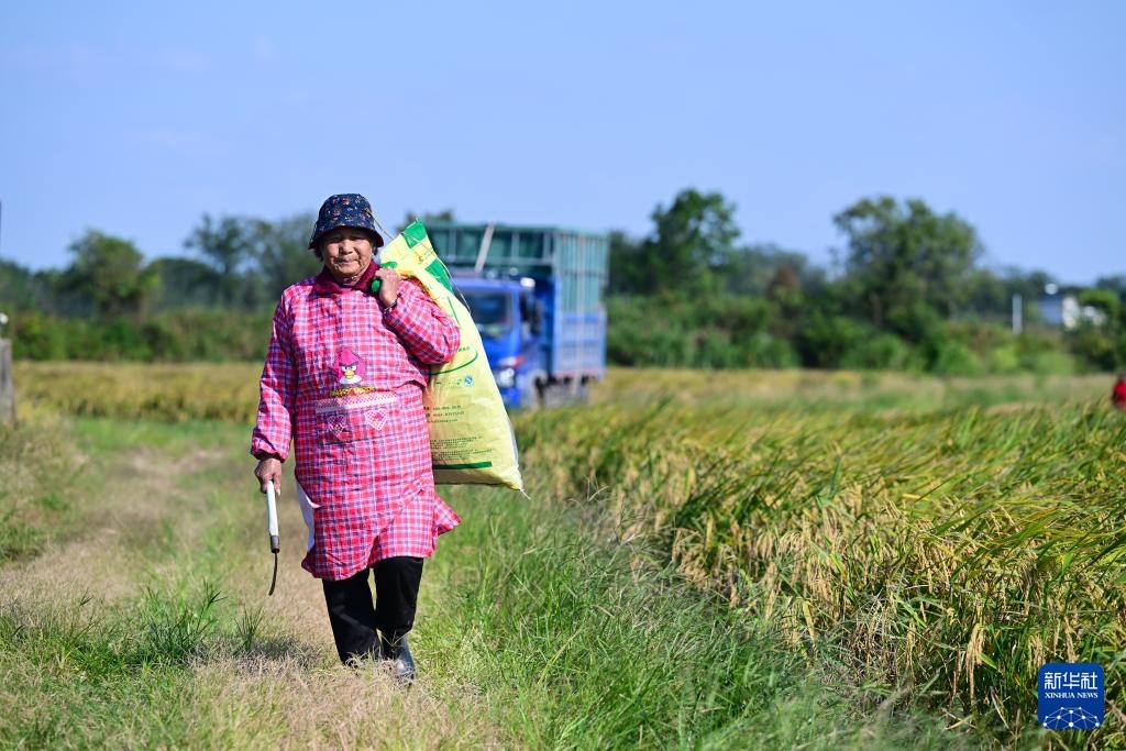 新职业故事丨飞无人机 直播带货 82岁奶奶成了“新农人” 新职业故事丨飞无人机 直播带货 82岁奶奶成了“新农人”