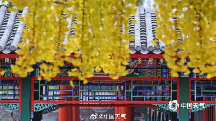 绝美！打卡中山公园秋日视觉盛宴