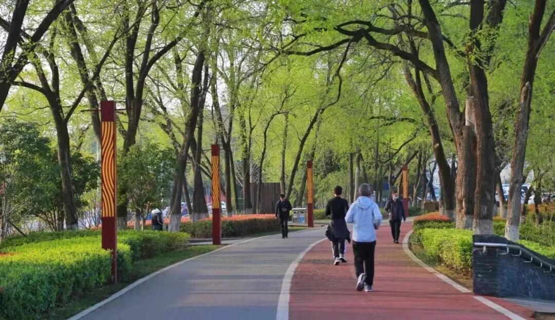 这种运动是心脏的“康复师”，心内科医生都大力推荐它