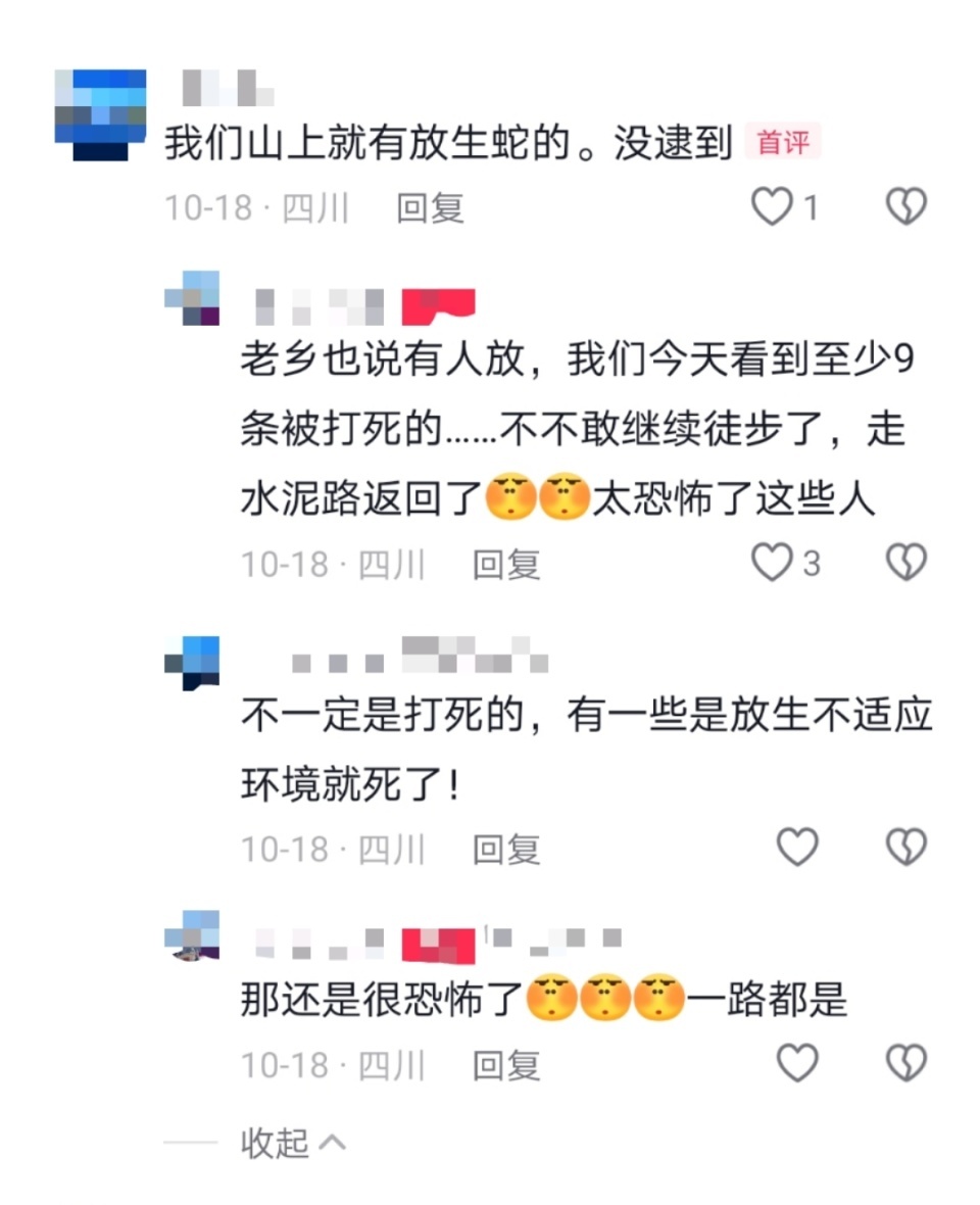 成都一村有人放生毒蛇？徒步游客称“一天看到9条”，镇政府：疑养殖户取蛇胆后丢弃