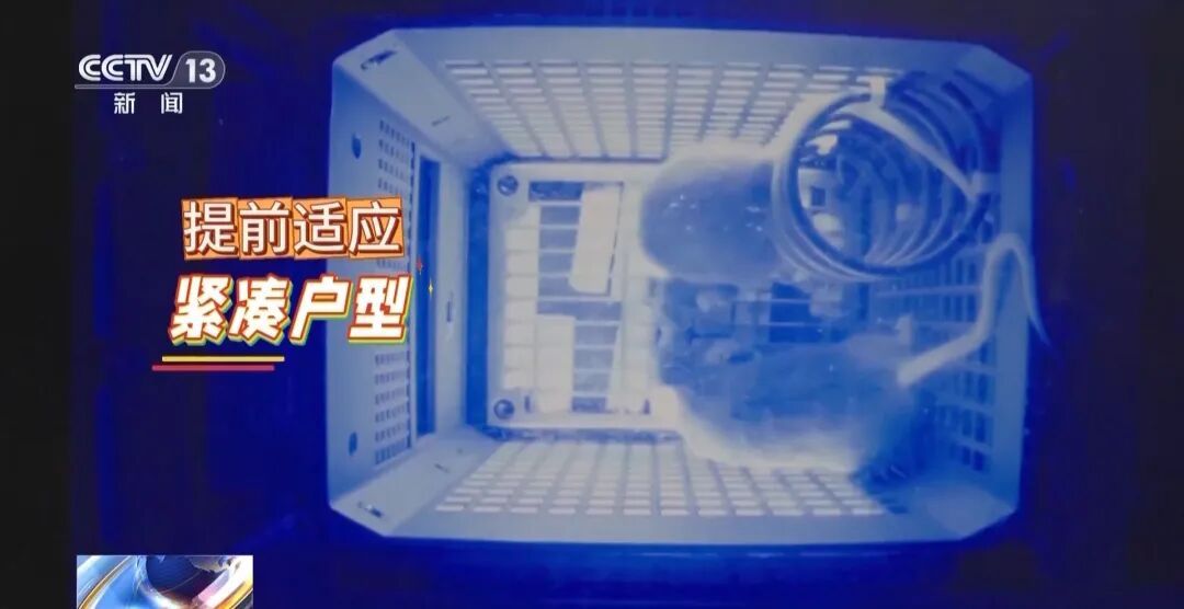 4只小老鼠将乘神舟飞船上太空！“魔鬼”训练画面曝光