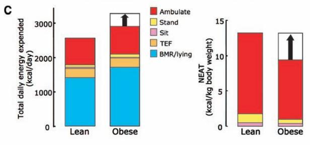 一个比散步还简单的动作，每天只需 10 分钟，就能改善体态、缓解肩颈痛！