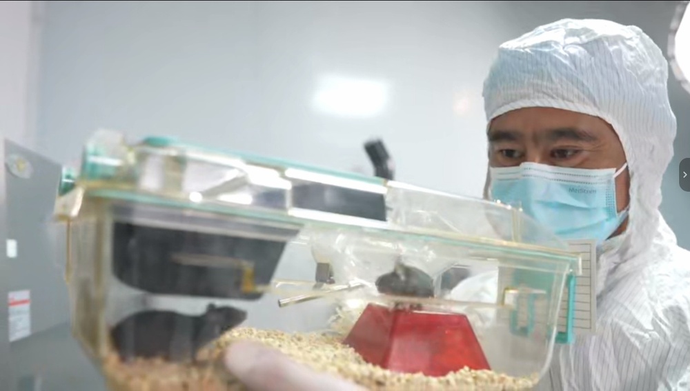 “动物航天员”队伍上新！小鼠如何完成奇妙的太空之旅？