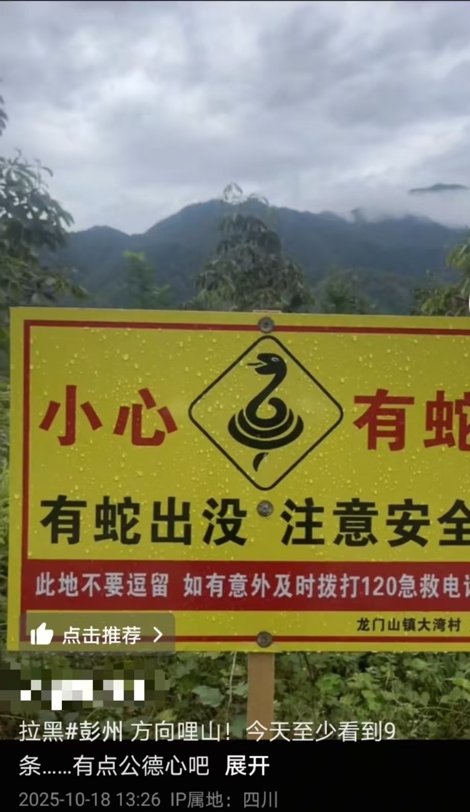 成都一村有人放生毒蛇？徒步游客称“一天看到9条”，镇政府：疑养殖户取蛇胆后丢弃