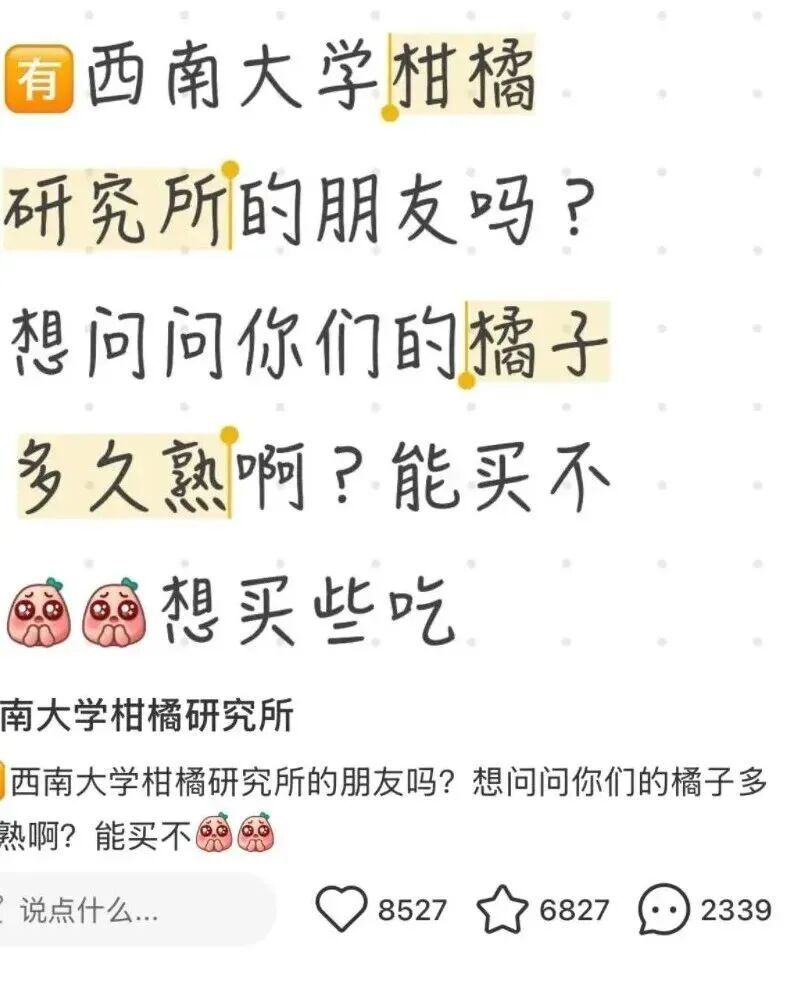 “买不到，根本买不到”！这个水果7天售完25000斤！