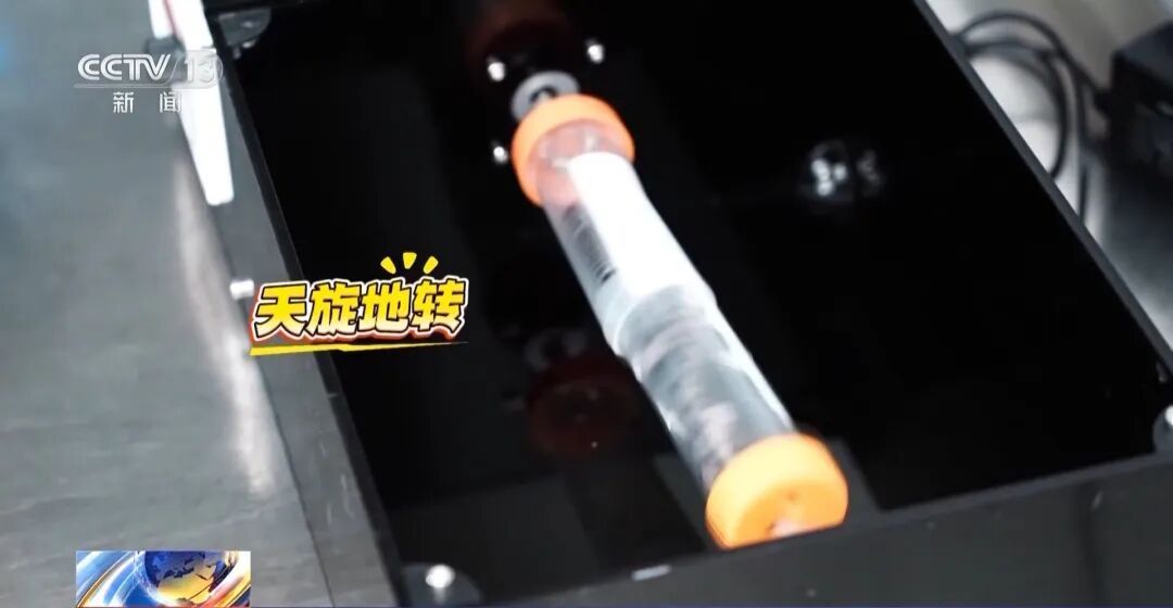 训练画面公布！4只小老鼠将乘神舟飞船上太空，成为动物航天员有多难？