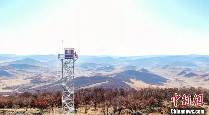 历经8个月，大兴安岭“看火人”终于下塔了！