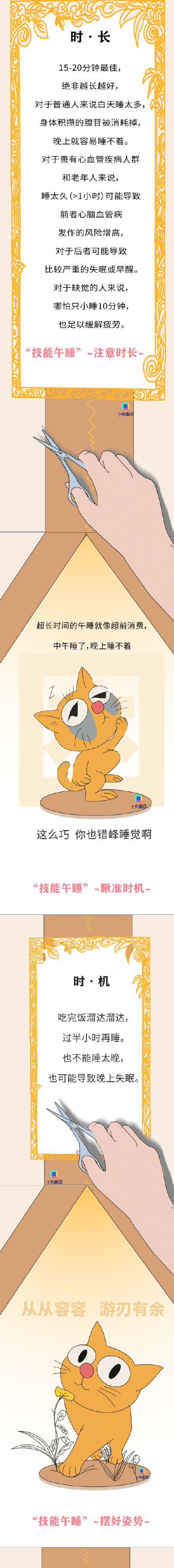 你是从不午睡还是天天午睡 ? 你是从不午睡还是天天午睡 ?