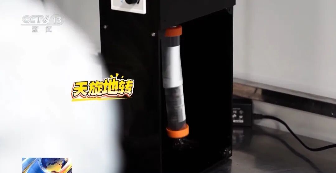 训练画面公布！4只小老鼠将乘神舟飞船上太空，成为动物航天员有多难？