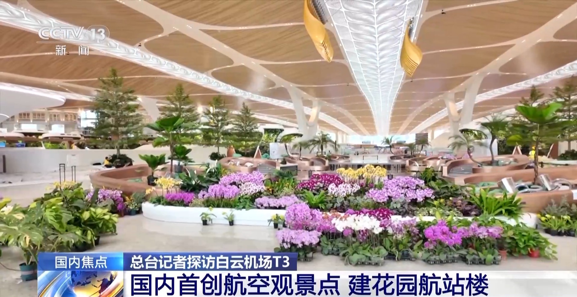 国内首创航空观景点 白云机场T3航站楼30日启用