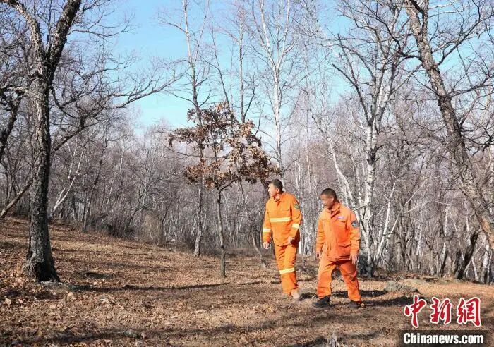 历经8个月，大兴安岭“看火人”终于下塔了！