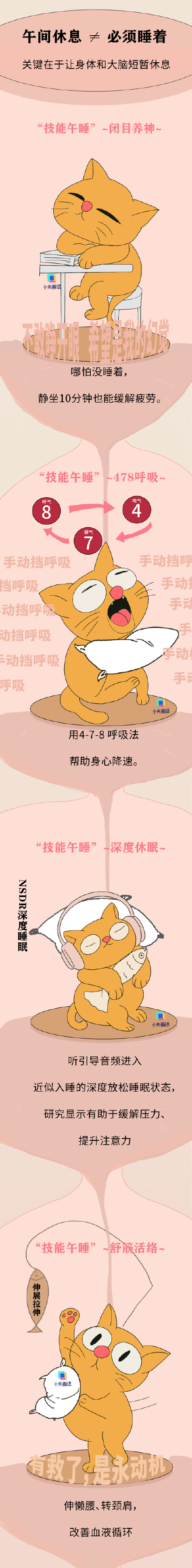 你是从不午睡还是天天午睡 ? 你是从不午睡还是天天午睡 ?