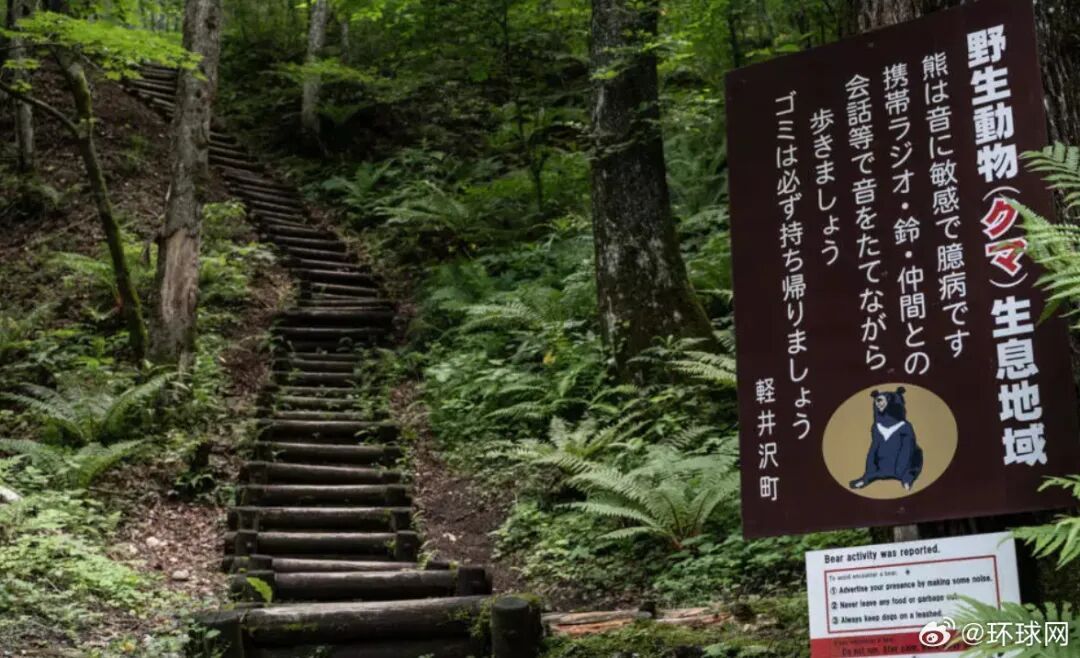 日本接连发生熊袭人事件,今年已有13人因熊袭击死亡,有现场出现明显熊吃人痕迹 日本接连发生熊袭人事件,今年已有13人因熊袭击死亡,有现场出现明显熊吃人痕迹