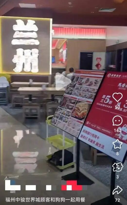 顾客带狗在餐桌上共同用餐，“马香远”餐厅回应：餐具已全换
