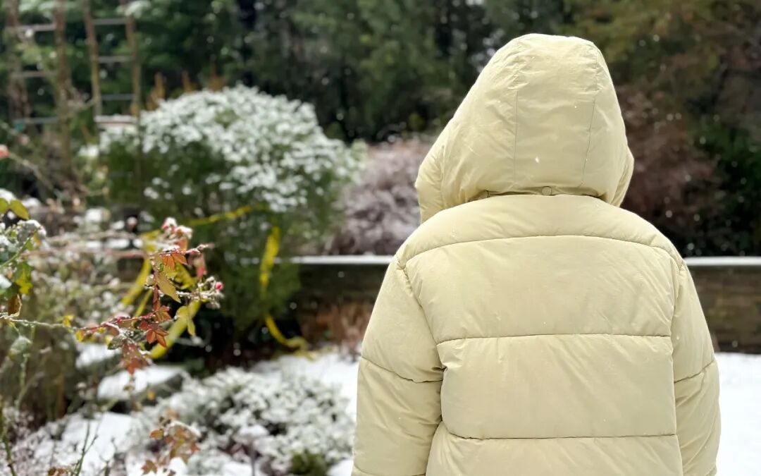 注意!低于这个价格,可能不是真羽绒服 注意!低于这个价格,可能不是真羽绒服