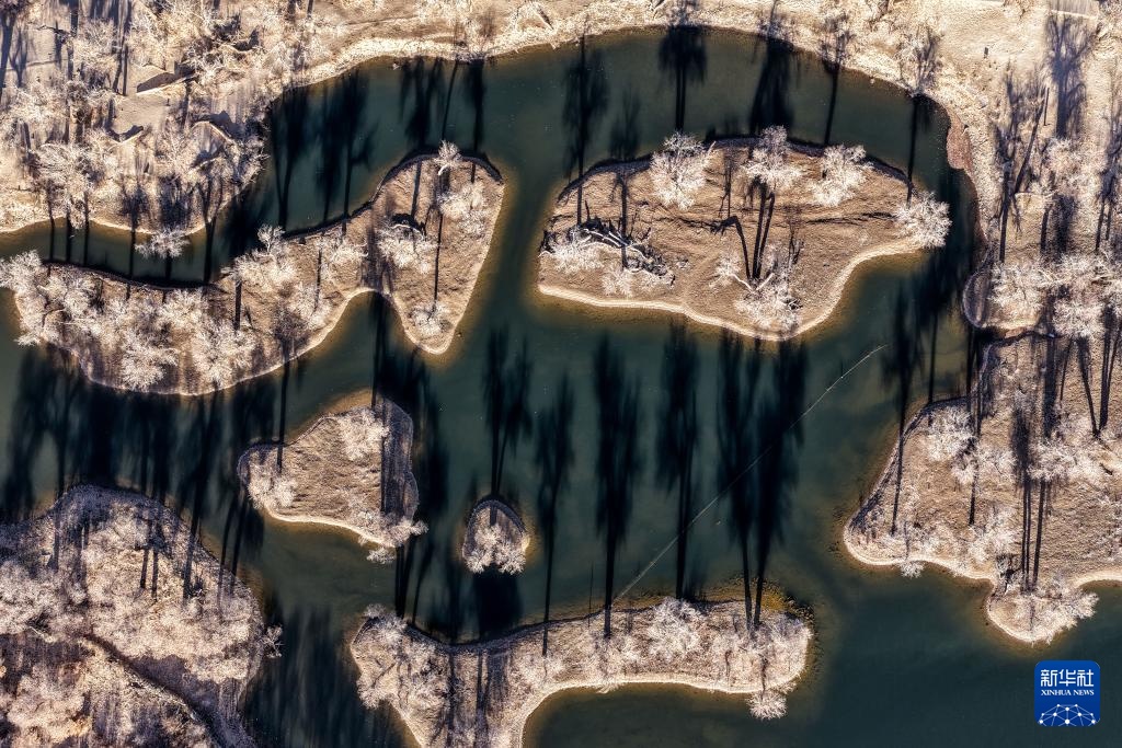 美丽中国丨额济纳:晚秋胡杨美 美丽中国丨额济纳:晚秋胡杨美