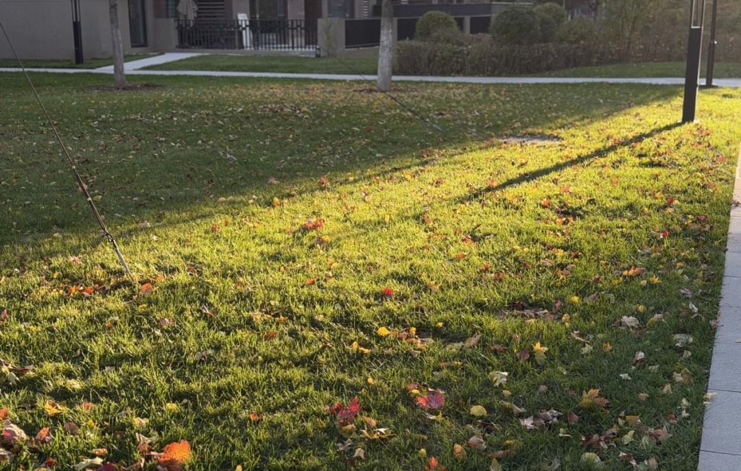 明天降雪、后天大幅降温！11月来了，辽宁气温还会回升不？