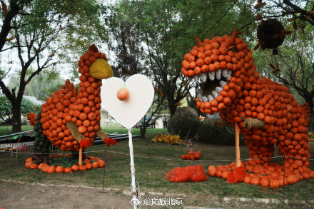 秋水映花容，600余种花卉绽放京城水岸！
