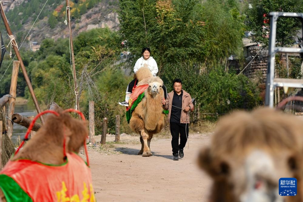 碛口新生 古镇新“味” 碛口新生 古镇新“味”