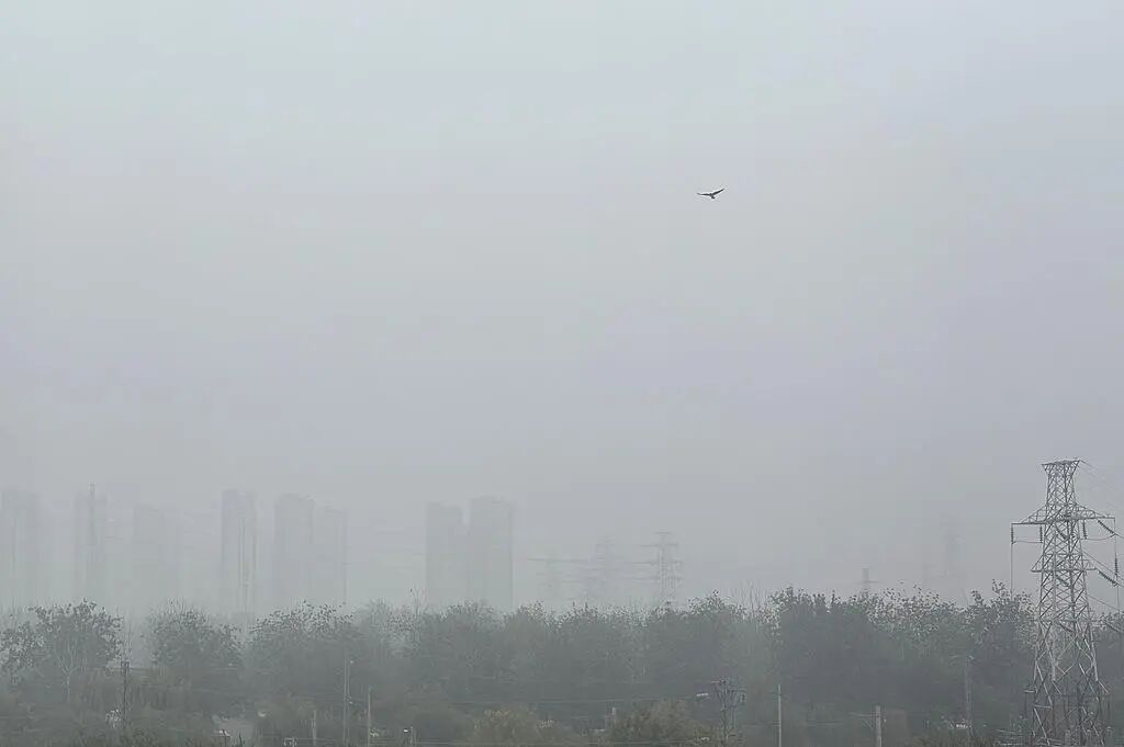 阜阳大雾预警 遇到“团雾”怎么办? 阜阳大雾预警 遇到“团雾”怎么办?