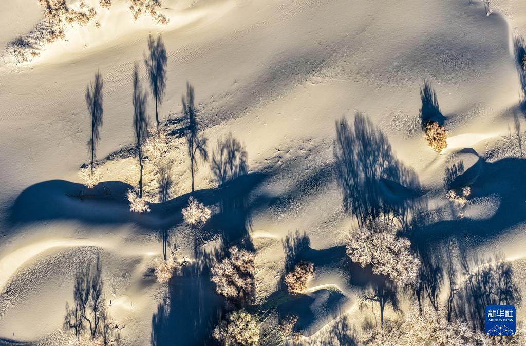 美丽中国丨额济纳:晚秋胡杨美 美丽中国丨额济纳:晚秋胡杨美