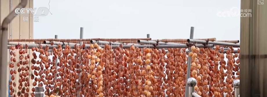 兴农、富农!“甜蜜产业”激活“农业+文旅+文化”多元融合新活力 兴农、富农!“甜蜜产业”激活“农业+文旅+文化”多元融合新活力