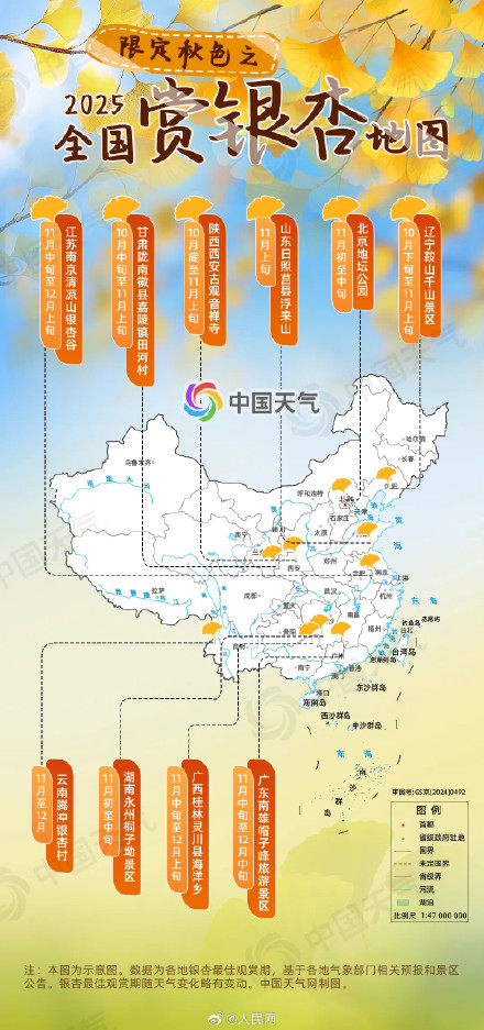 2025年全国银杏观赏地图 2025年全国银杏观赏地图