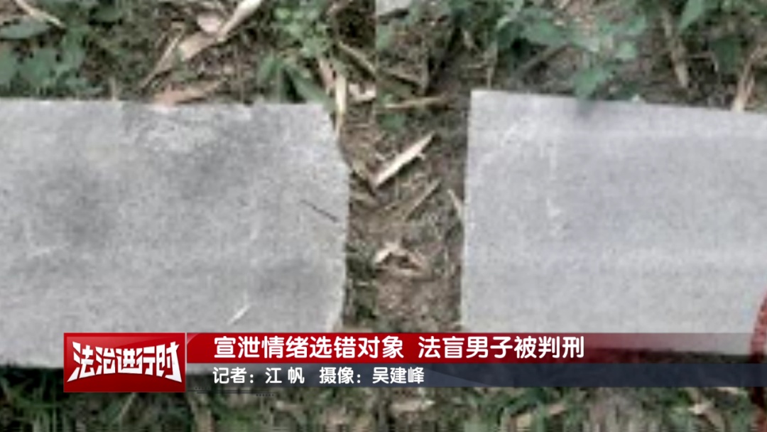 北京一男子向路中间扔水泥块 获刑11个月