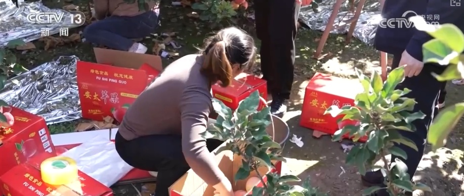 兴农、富农!“甜蜜产业”激活“农业+文旅+文化”多元融合新活力 兴农、富农!“甜蜜产业”激活“农业+文旅+文化”多元融合新活力