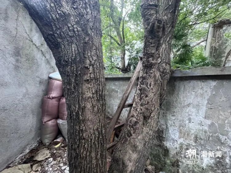 杭州一废弃学校成打卡点，曾有博主被困！紧急提醒