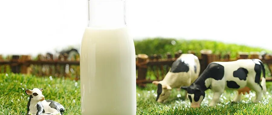 新国标已实施，您的乳制品买对了吗？