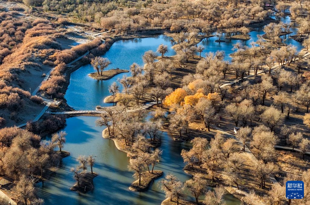 美丽中国丨额济纳:晚秋胡杨美 美丽中国丨额济纳:晚秋胡杨美