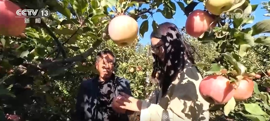 兴农、富农!“甜蜜产业”激活“农业+文旅+文化”多元融合新活力 兴农、富农!“甜蜜产业”激活“农业+文旅+文化”多元融合新活力